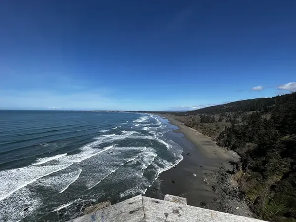 Waves roll onto a long stretch of sandy beach backed by forested cliffs under a clear blue sky.