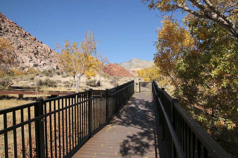 boardwalk