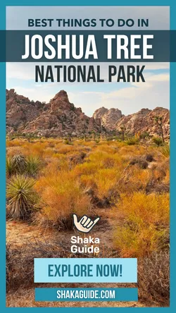 things to do i joshua tree national park