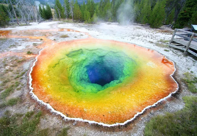 A vibrant hot spring with a deep blue center surrounded by bright rings of green, yellow, and orange, sitting in a pale, steamy geothermal landscape with trees in the background.