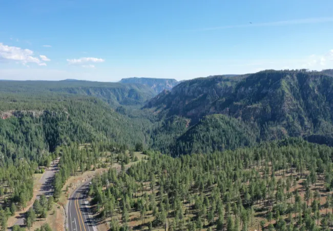 A winding road cuts through the lush, pine-covered landscape of Oak Creek Canyon under a clear blue sky.