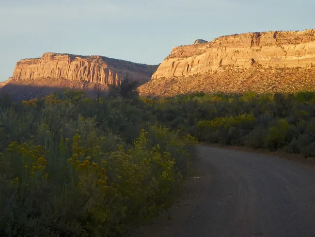 A dirt road winds through desert vegetation toward glowing sandstone mesas at sunset in Butler Wash, Utah.