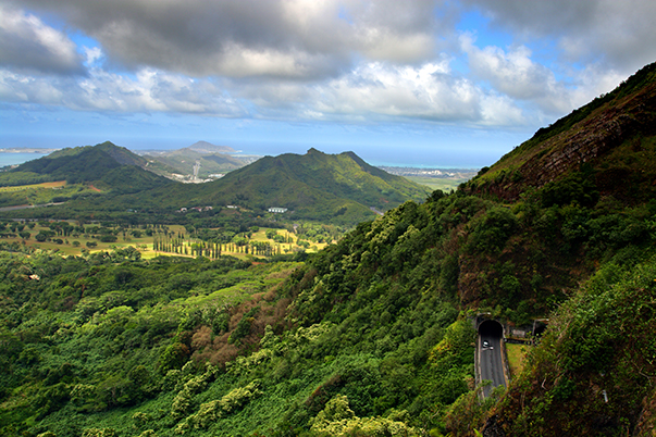 Drive and Sightsee Around Oahu Shaka Guide 