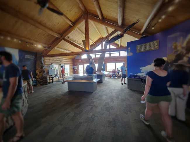 Interior of the Black Canyon of the Gunnison Visitor Center featuring educational exhibits, a large model of the canyon, and a wooden vaulted ceiling with a suspended eagle display.