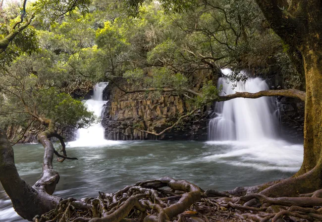 Twin waterfalls cascade into a tranquil jungle pool, framed by lush greenery and twisted tree roots.