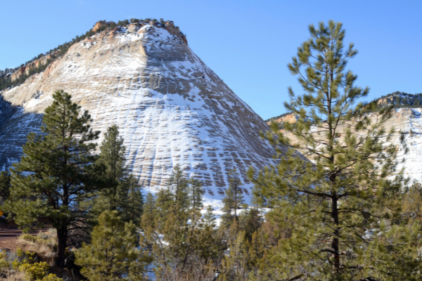 Checkerboard Mesa Utah National Park Zion