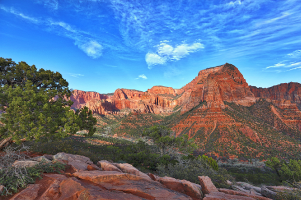  Timber Creek Trail Zion Utah National Park