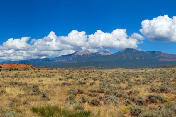 La Sal spring utah National park