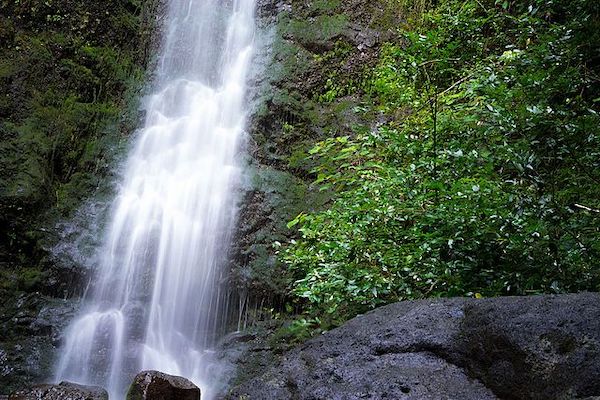 Oahu Waterfalls Travel Shaka Guide