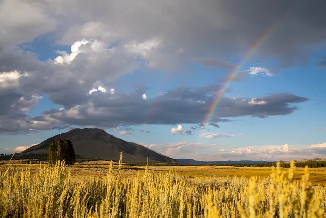 A wide landscape of a golden grassy field in the foreground leading to a rounded, dark mountain in the distance. Above the horizon, a vibrant rainbow arches across a blue sky filled with heavy grey and white clouds.