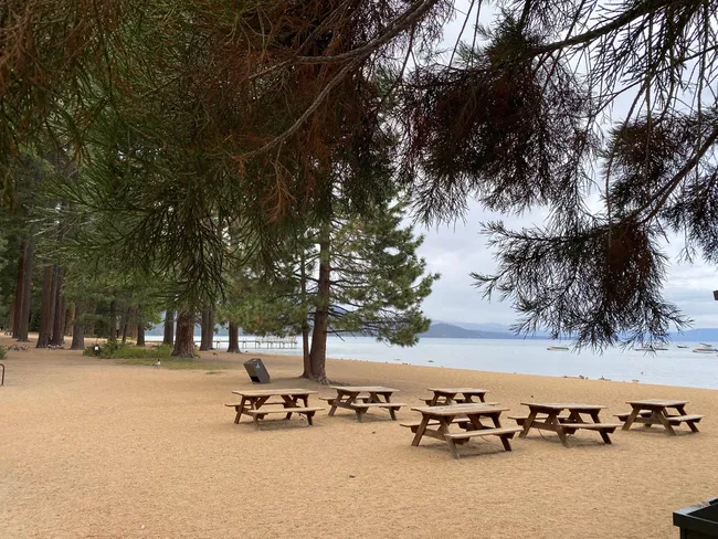 Sandy lakeside beach with wooden picnic tables, tall pine trees, and calm water under a cloudy sky.
