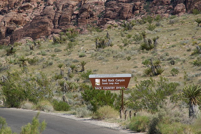 Red Rock Canyon: 10 Things To Do + 4 Things To Know