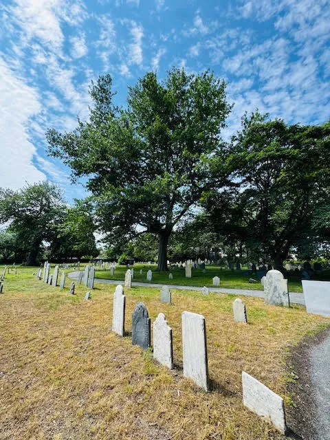 Old gravestones in Charter Street Cemetery beneath tall leafy trees, with a bright blue sky above.