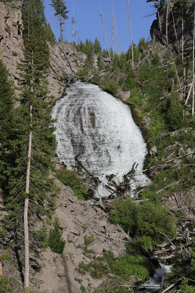 A powerful waterfall cascades down a rocky mountainside, surrounded by evergreen trees and fallen logs in a rugged forest landscape.