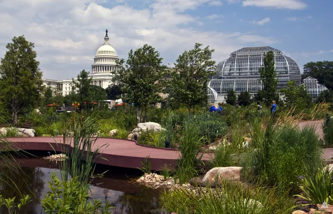 A lush naturalistic garden landscape in the foreground features a curved wooden boardwalk over a small pond, surrounded by tall grasses, reeds, wildflowers, and boulders. In the background, the white dome of the U.S. Capitol building rises on the left, while the large glass dome of the U.S. Botanic Garden Conservatory dominates the right. Visitors stroll among the plantings under a partly cloudy summer sky. The photo is credited to the Architect of the Capitol.