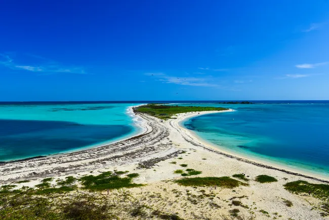 Sandy Bush Key shoreline surrounded by turquoise waters and lush greenery under a bright blue sky.