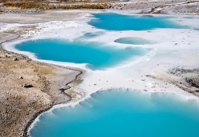 A high-angle view of several bright, turquoise-blue geothermal pools set within a stark, white mineral crust. The surrounding landscape consists of rough, tan-colored earth and sparse patches of dry vegetation under bright, natural light.
