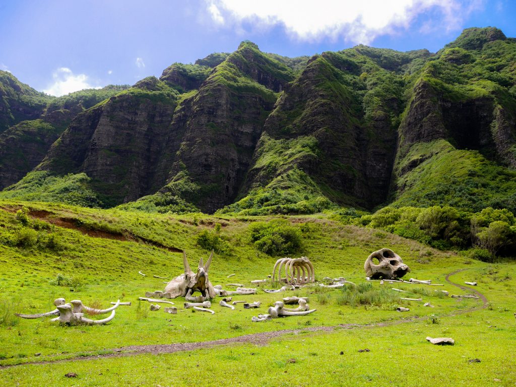 Kualoa Ranch Visitor Shaka Guide