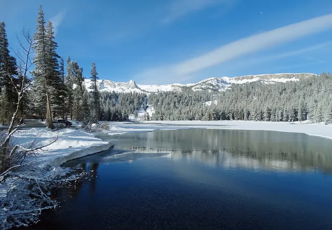 Snow-covered landscape with a partially frozen lake surrounded by pine trees and distant mountains under a clear blue sky.