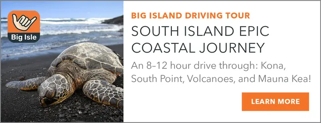 south island epic coastal journey download