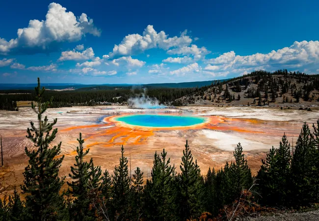 A vast, colorful hot spring glows with bright blue, green, and orange rings, surrounded by steam and a wide open landscape of trees and hills under a vivid blue sky.