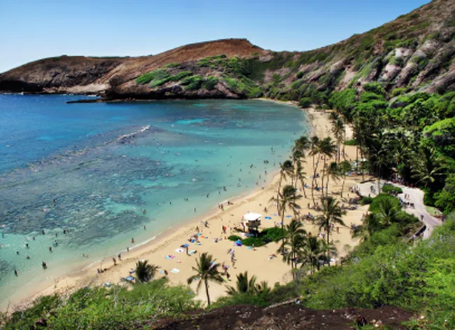 Aerial view of Hanauma Bay on Oahu, with turquoise waters, coral reefs, and a sandy beach lined with palm trees.