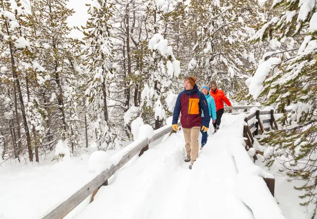 A group of people walk along a snow-covered boardwalk surrounded by heavy snow on tree branches in a quiet winter forest.