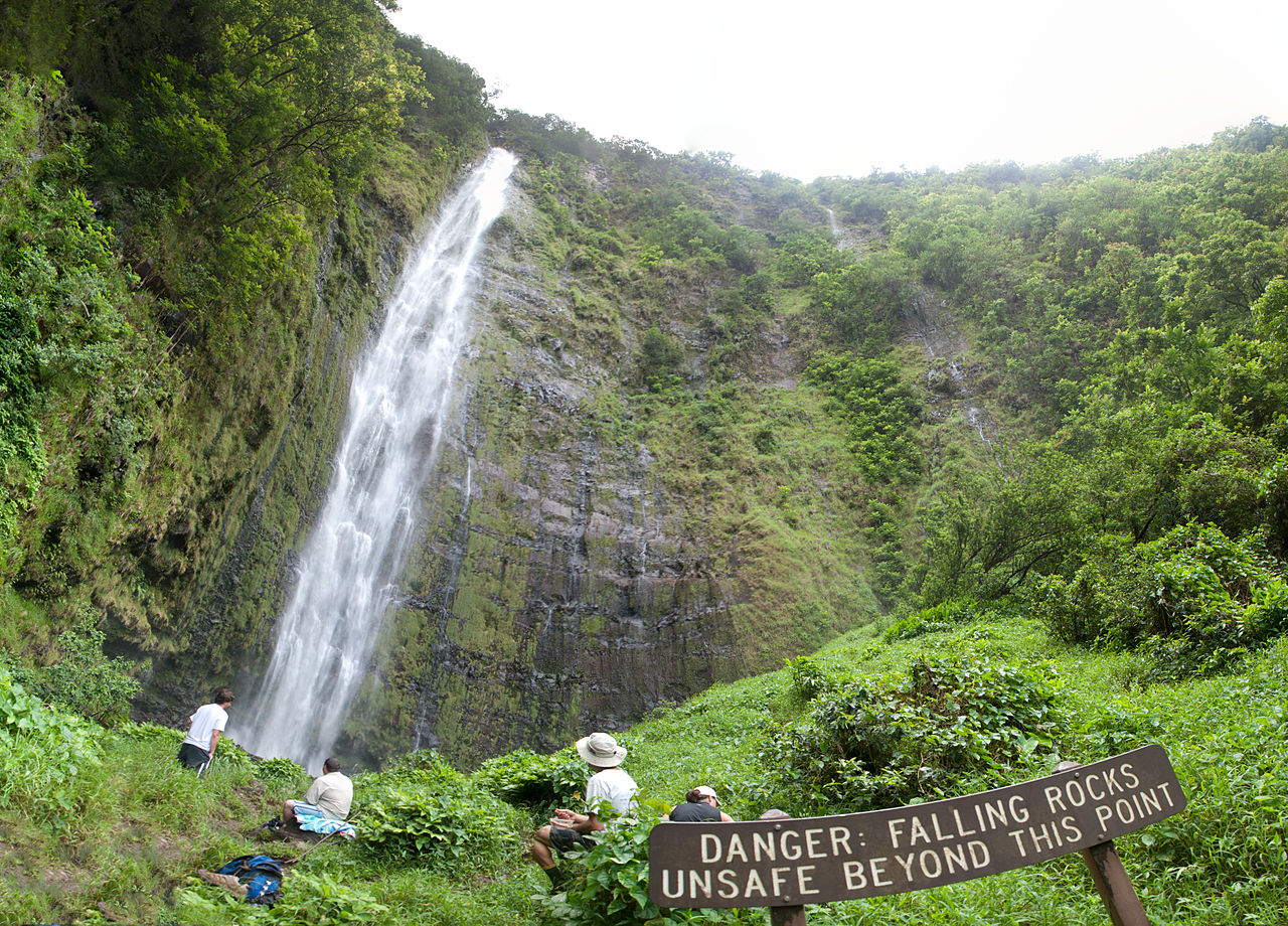 Pipiwai and Waimoku Falls Travel Shaka Guide