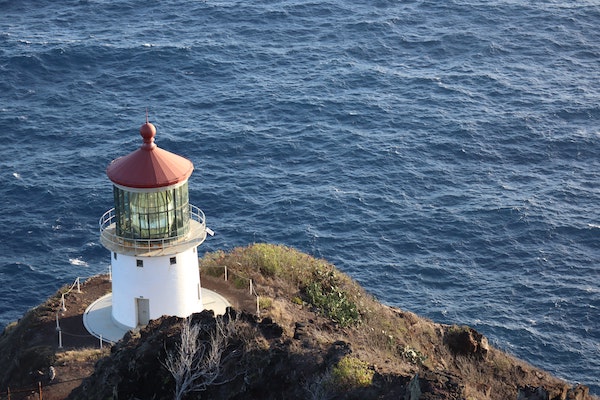 Makapuu Point - Hawaii Whale Watching Guide