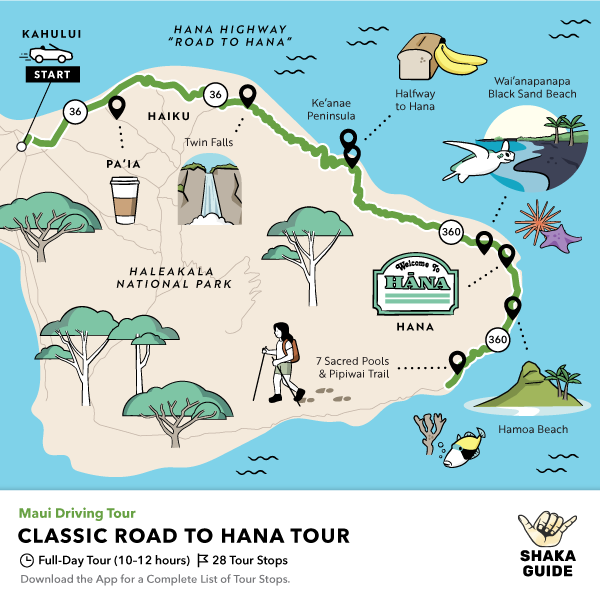 hana tour stock