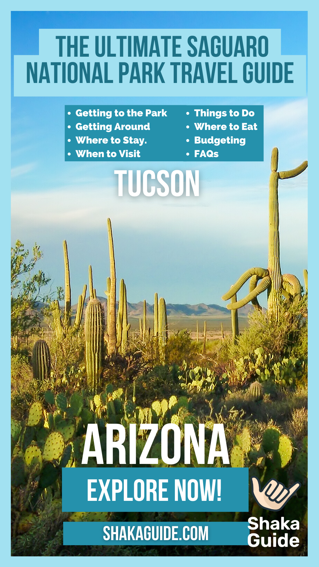 saguaro travel guide with arizona on background