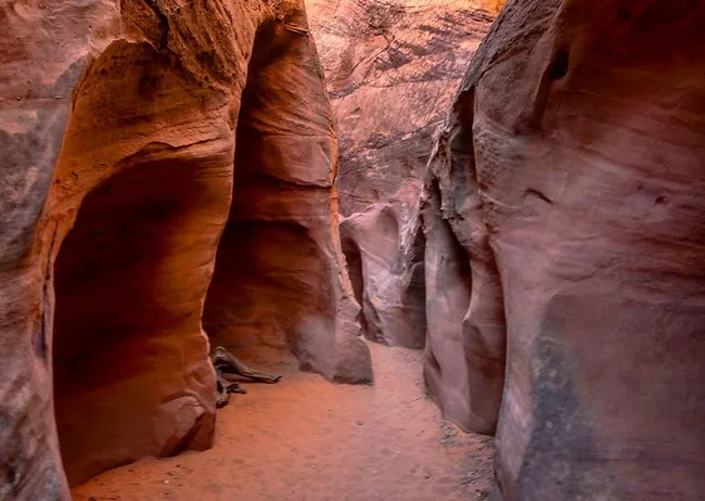 Narrow sandstone walls curve tightly around a sandy passage, their smooth red surfaces glowing softly in the filtered light.