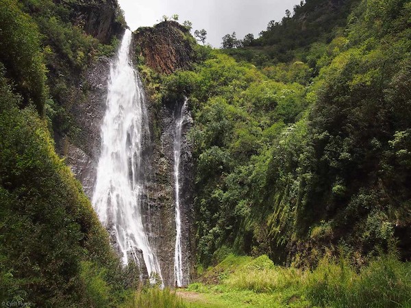 Complete Kauai Waterfalls Shaka Guide