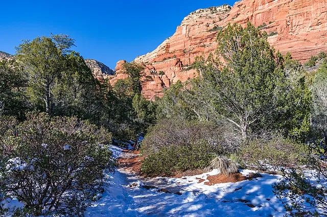 A snow-dusted trail winds through red rock canyons and green shrubs under a clear blue sky in Sedona.