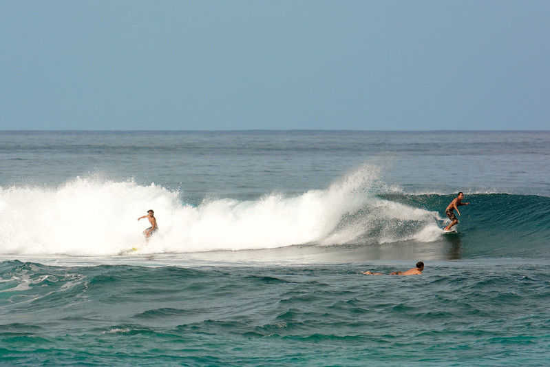 Oahu Beaches for Beginner Surfers Shaka Guide