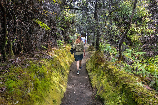 Hawaii Volcanoes National Park Big Island Travel Shaka Guide