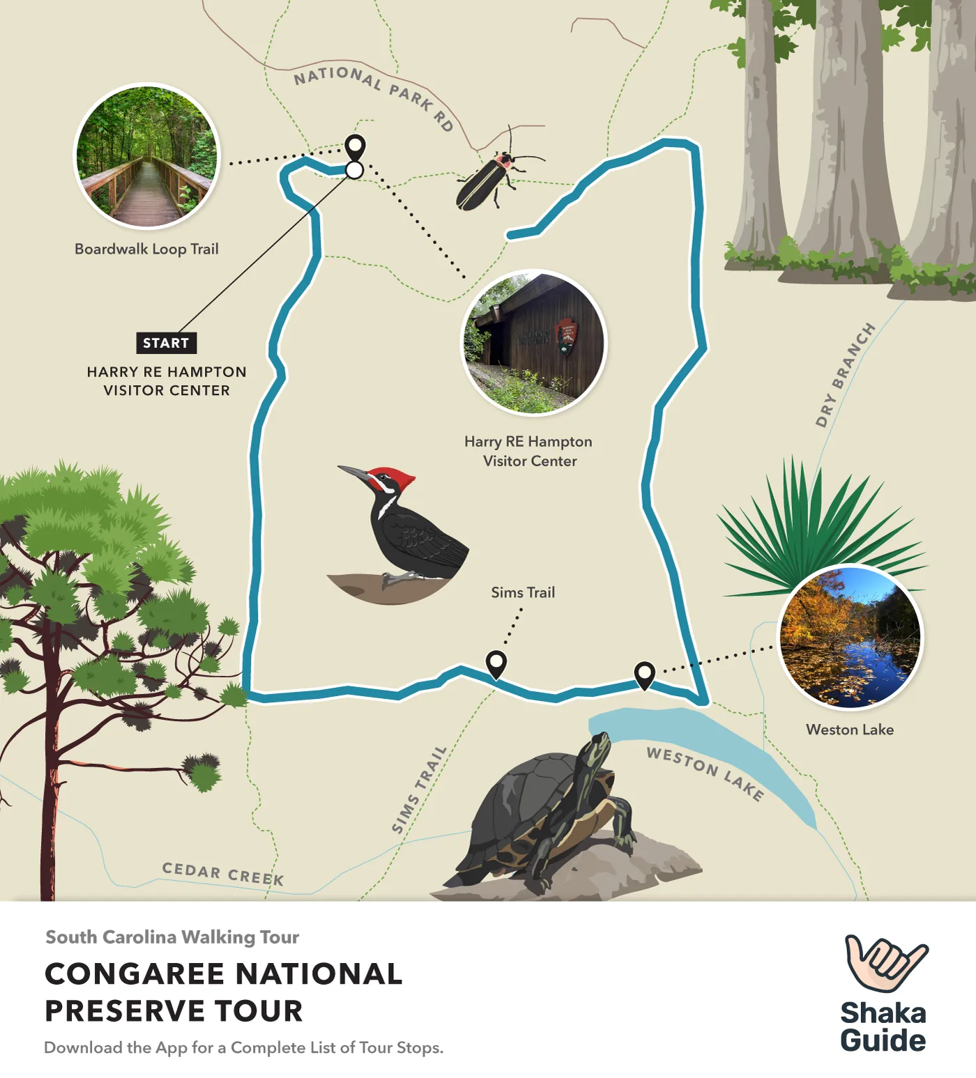 Illustrated map of Congaree National Park showing major stops like the Boardwalk Loop Trail, Sims Trail, Weston Lake, and Harry Hampton Visitor Center with Shaka Guide branding.