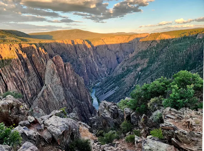 Golden hour sunlight casts dramatic shadows across the steep cliffs of Black Canyon of the Gunnison, with the Gunnison River winding far below through the rugged, forested gorge.
