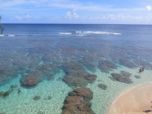 Discover the Best Beaches for Snorkeling in Kauai