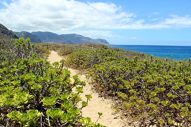 what to do in only one day in Oahu