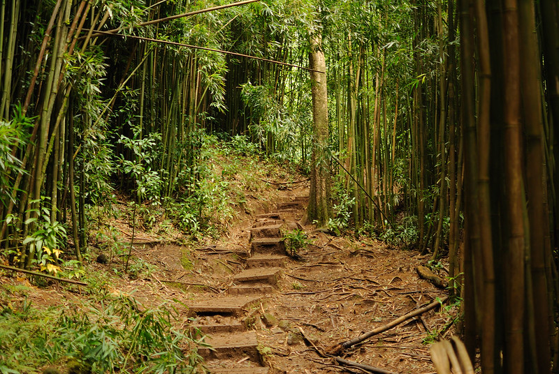 Best Waterfalls Oahu Shaka Guide