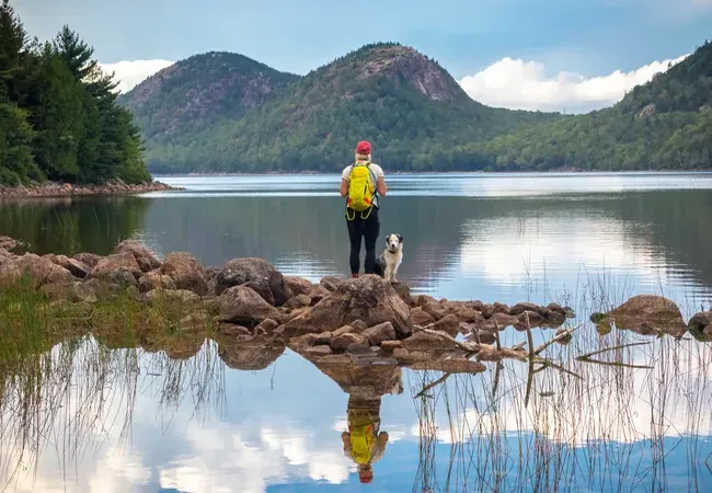 A person with a dog stands on rocky shorelines, reflecting on calm waters surrounded by lush greenery and distant hills in Acadia National Park.