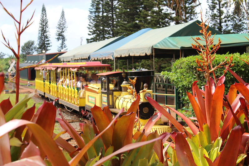 dole plantation tour reviews