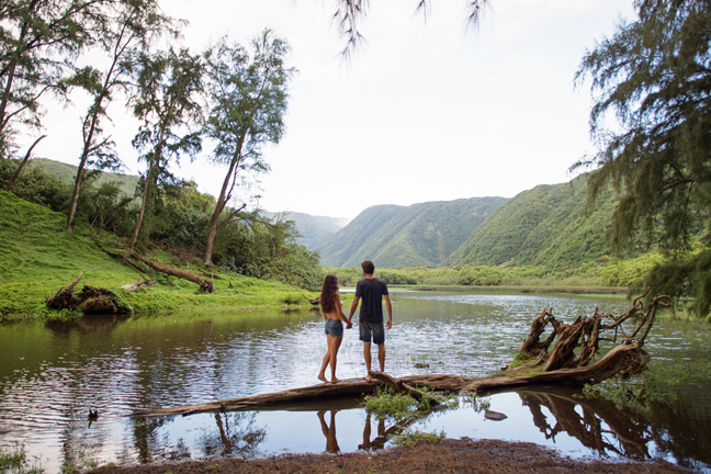 Polulu Valley Hike Big Island Shaka Guide 