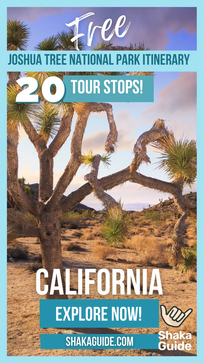 joshua tree itinerary pinn