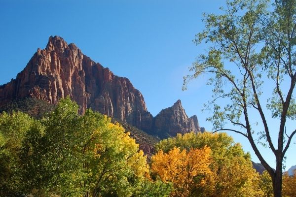 Zion fall Utah National Park 