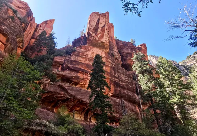 Towering red rock cliffs and lush pine trees line the scenic West Fork Trail in Sedona’s Oak Creek Canyon.