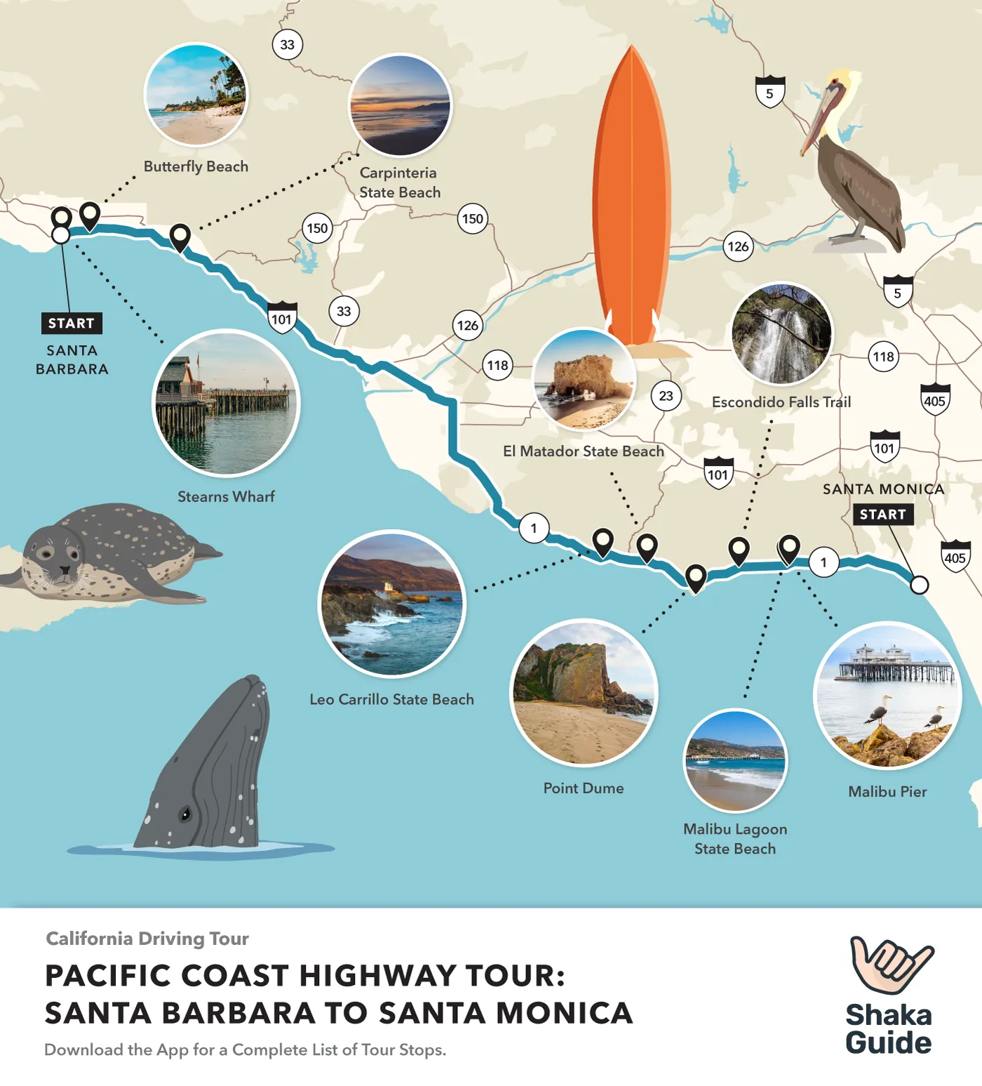 A vertical, illustrated map titled "PACIFIC COAST HIGHWAY TOUR: SANTA BARBARA TO SANTA MONICA." A thick blue line traces the coastal route with circular photo insets for key stops, including Butterfly Beach, Carpinteria State Beach, Stearns Wharf, Leo Carrillo State Beach, El Matador State Beach, Point Dume, Escondido Falls Trail, Malibu Lagoon State Beach, and the Malibu Pier. The map is decorated with playful illustrations of a harbor seal, a breaching whale, an orange surfboard, a pelican, and highway shields for the 101, 1, and 405. The Shaka Guide logo appears at the bottom with the text "Download the App for a Complete List of Tour Stops