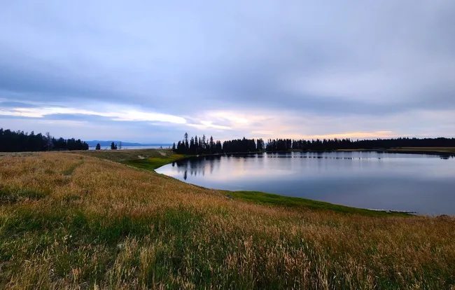 Peaceful view of Indian Pond near Yellowstone Lake at sunset, with golden grasses in the foreground, calm reflective water, and silhouetted trees under a moody sky.