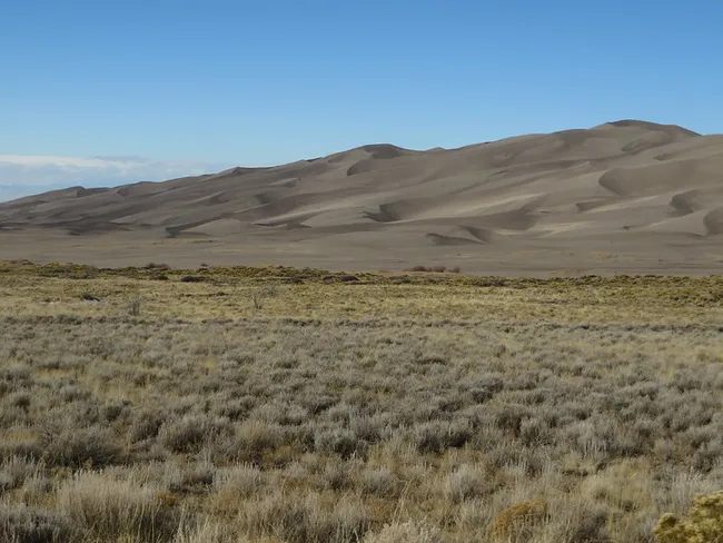 Rolling sand dunes rise behind a dry grassy field under a clear blue sky at Great Sand Dunes National Park.